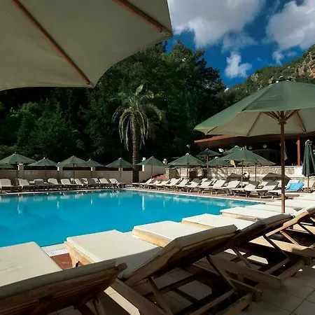 فندق Julian Forest 4*