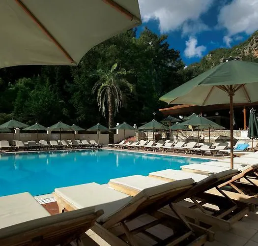 호텔 Julian Forest 4*